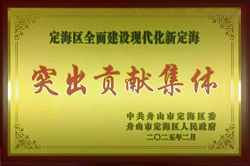 2024年度定海區(qū)全面建設(shè)現(xiàn)代化新定海突出貢獻(xiàn)集體_副本